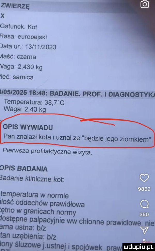 zwierzę x gatunek kot rasa europejski data ur            maść czarna vega       kg imć samica               badanie prof. diagnostyki temperatura      c waga      k opis wywiadu pan znalami kota i uznał że będzie jego ziomkiem. pierwsza profilaktyczna wizyta. opis badania badanie kliniczne kot i mr g. temperatura w normie ilość oddechów prawidłowa tętno w granicach normy   iostępne palpacyjnie ww chłonne prawidłowe nie ma ustna baz w mn uzębienia baz lony sluzowe j u tlej i spojówek