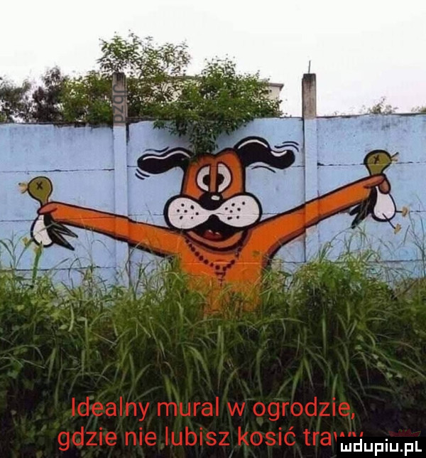 Obrazek