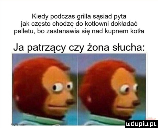 kiedy podczas grilla sąsiad pyta jak często chodzę do kotłowni dokładać pelletu bo zastanawia się nad kupnem kotła ja patrzący czy żona isłucha