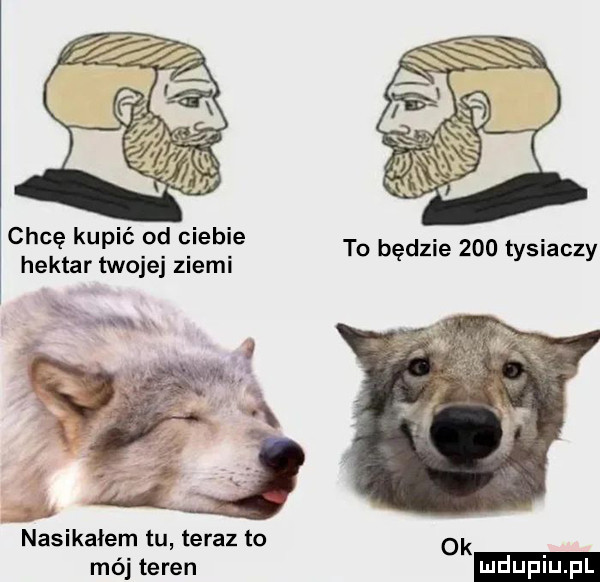 chcę kupić od ciebie hektar twojej ziemi    nasikałem tu teraz to ok móiteren