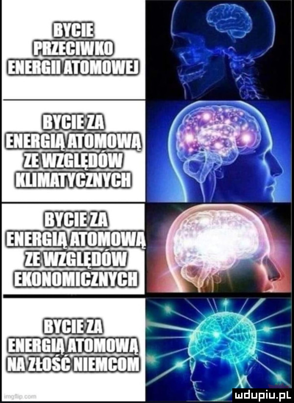 bygiełia eiieiigia  m  ie magnum immune iii ihs nie i li