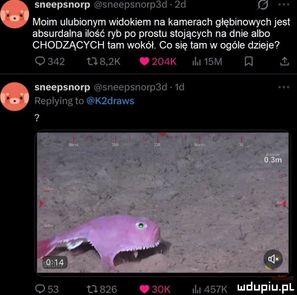 sneepsnorp sneepsnorde  d   moim ulubionym widokiem na kamerach głębinowych jest absurdalna ilość ryb po prestu stojących na dnie albo chodzących tam wokół co się tam w ogóle dzieje          k i i   m m sneepsnorp sneepsnorde  d replying to kzdraws             k