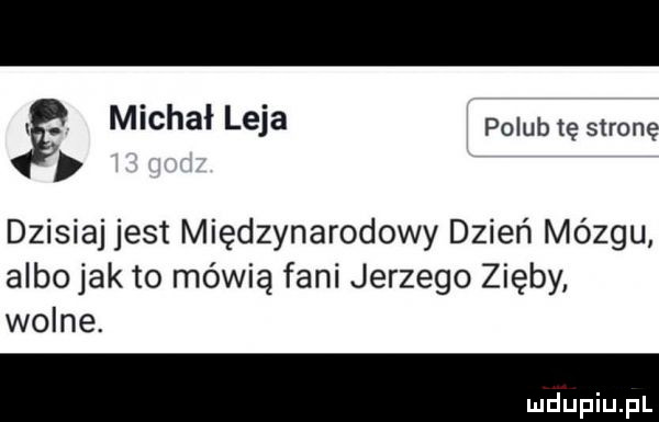 michał leja polubię stronę dzisiaj jest międzynarodowy dzień mózgu albo jak to mówią fani jerzego zięby wolne
