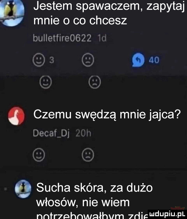 e. jestem spawaczem zapytaj mnie o co chcesz buiicłhreogzż no. czemu swędzą mnie jajca me ﬂ sucha skóra za dużo włosów nie wiem nnłr nhnwnłhvm  dicmduf iu f l