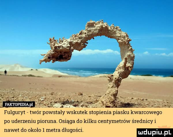 fulguryt twór powstały wskutek stopienia piasku kwarcowego po uderzeniu pioruna osiąga do kilku centymetrów średnicki nawet do około   metra długości