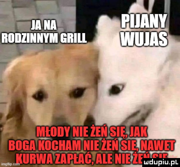be r i   in a. nnnlllllmn enlil fca. mam i u lipiu pl