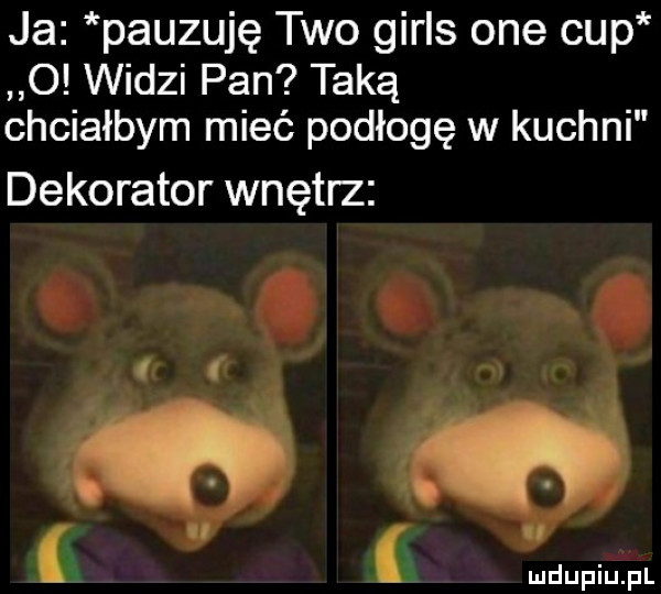 ja pauzuję tao girls one cup o widzi pan taką chciałbym mieć podłogę w kuchni dekorator wnętrz
