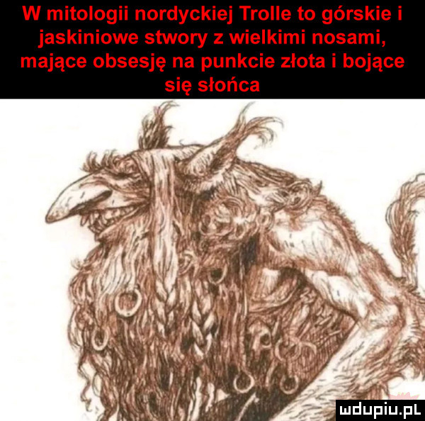 w mitologii nordyckiej trolle to górskie i jaskiniowe stwory z wielkimi nosami mające obsesję na punkcie zlota i bojące się słońca