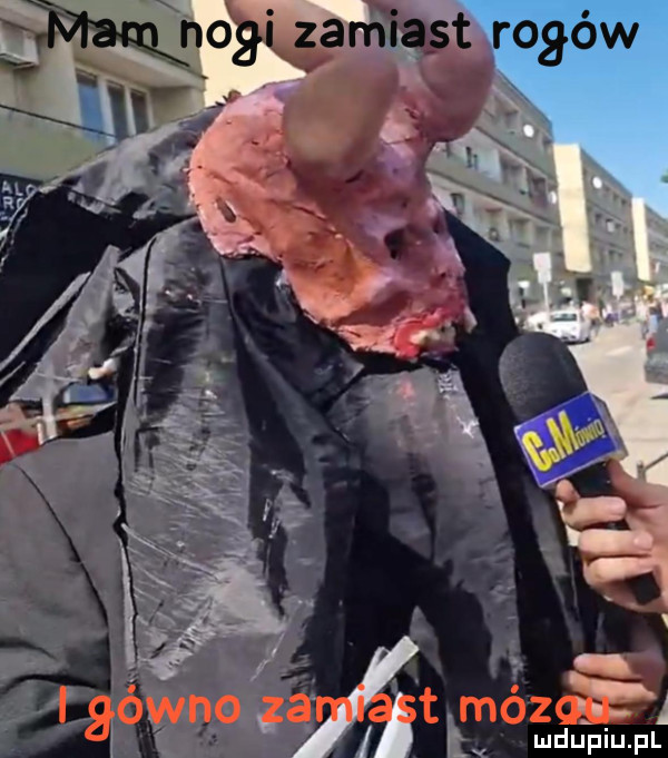 Obrazek