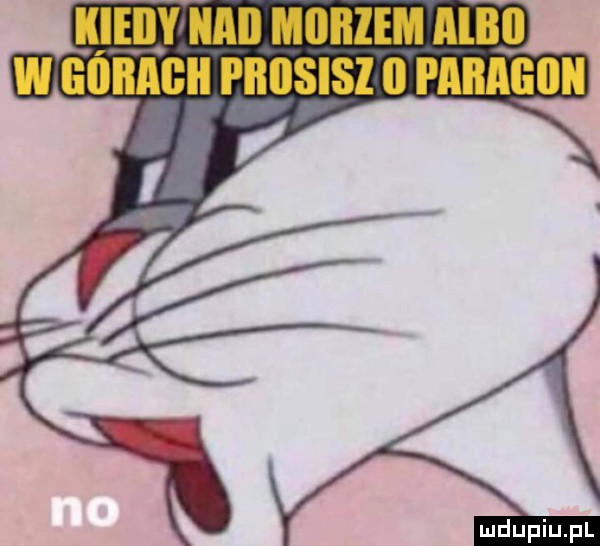 kiedy nai morzem alkil w gubagii piiiisisi il paragon