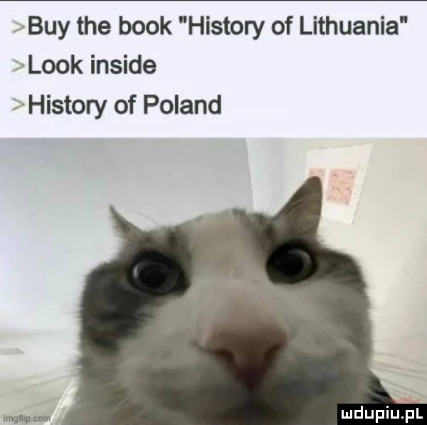 nbuy tee blok histony of lithuania look inside   histony of poland me