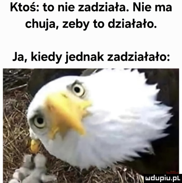 ktoś to nie zadziała. nie ma chuja zeby to działało. ja kiedy jednak zadziałało i lv