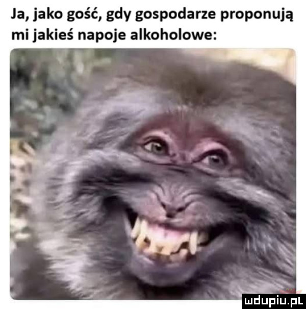 ja jako gość gdy gospodarze proponują mi jakieś napoje alkoholowe