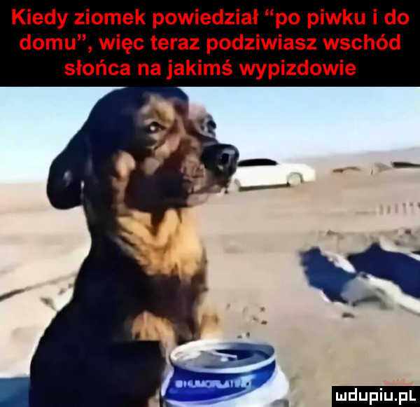 kiedy ziomek powiedział po piwku i do domu więc teraz podziwiasz wschód słońca na jakimś wypizdowie munuv       ludu iu. l