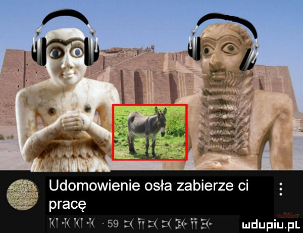 udomowienie osła zabierze ci pracę tu k w    ﬁ