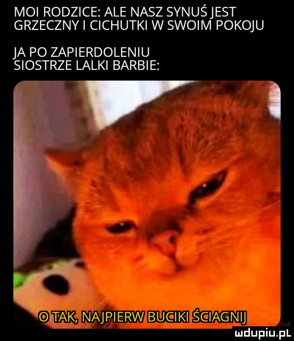 moi rodzice ale nasz synuśjest grzeczny cichutki w swoim pokoju ja po zapierdoleniu siostrze lalki barbie