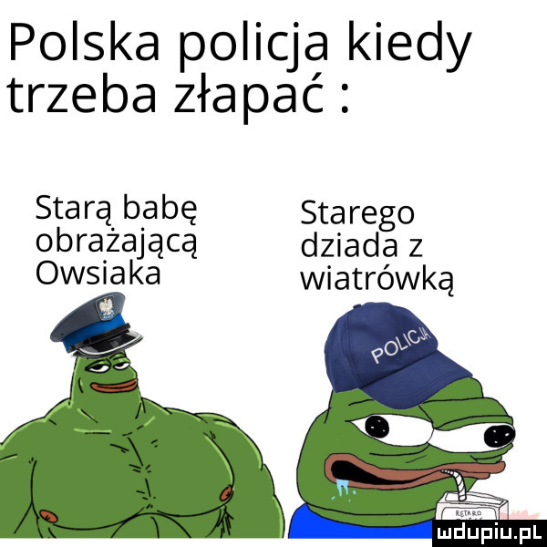 polska policja kiedy trzeba złapać starą babę starego obrażająca dziada z owsiaka wiatrówką