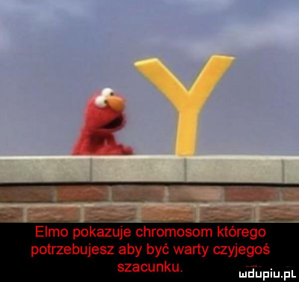 emmo pokazuje chromosom którego potrzebujesz aby być warty czyjegoś szacunku. mgupiupl