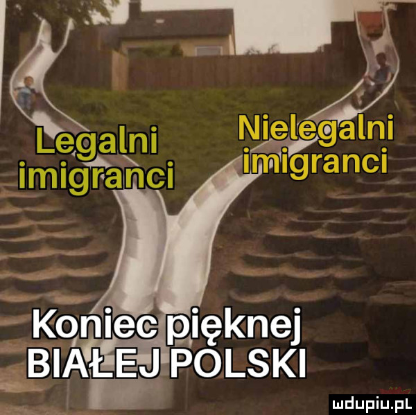 i nielćg aguś im iﬁranci białejpolski. w