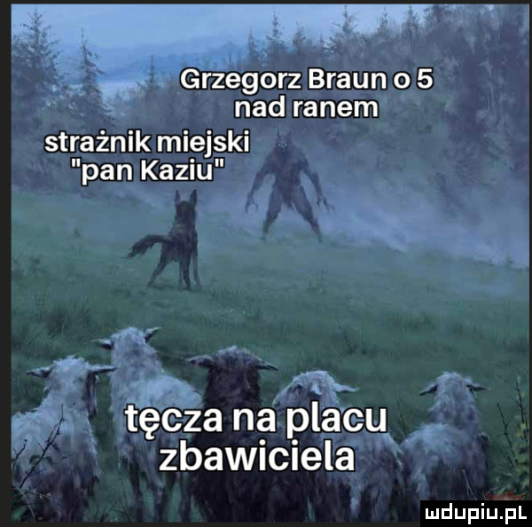 grzegorz braun o   nad ranem strażnik miejski pan kaziu tęcza na placu zbawiciela