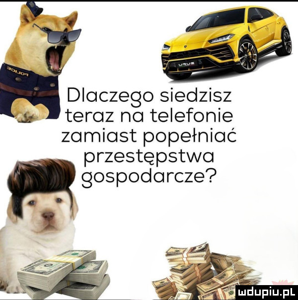 a   ﬂia a dlaczego siedzisz teraz na telefonie zamiast popełniać przestępstwa gospodarcze