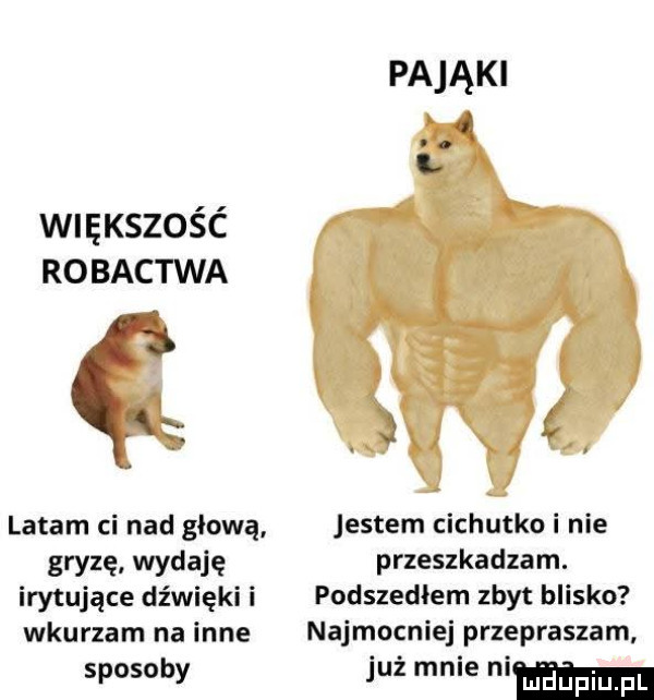 większość robactwa it a latam ci nad głową gryzę. wydaję irytujące dźwięki i wkurzam na inne sposoby pająki i entem cichutko i nie przeszkadzam. podszedłem zbyt blisko najmocniej przepraszam już mnie ni