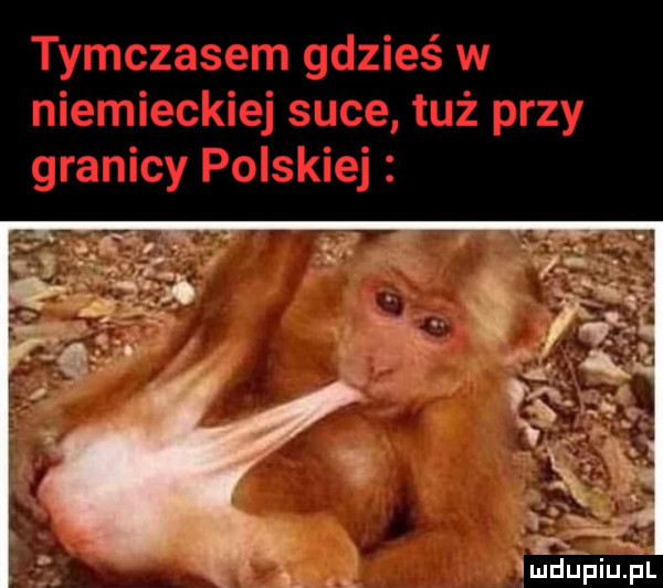 Obrazek