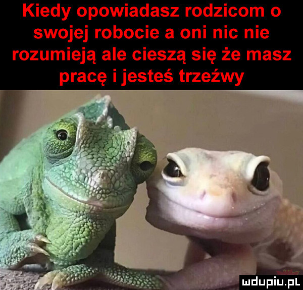 kiedy opowiadasz rodzicom o swojej robocie a oni nic nie rozumieją ale cieszą się że masz pracę i jesteś trzeźwy