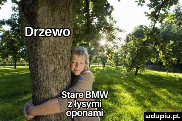 Obrazek