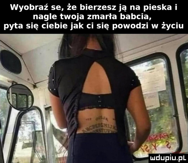 wyobraź se że bierzesz ją na pieska i nagle twoja zmarła babcia pyta się ciebie jak ci się powodzi w życiu mdupiupf