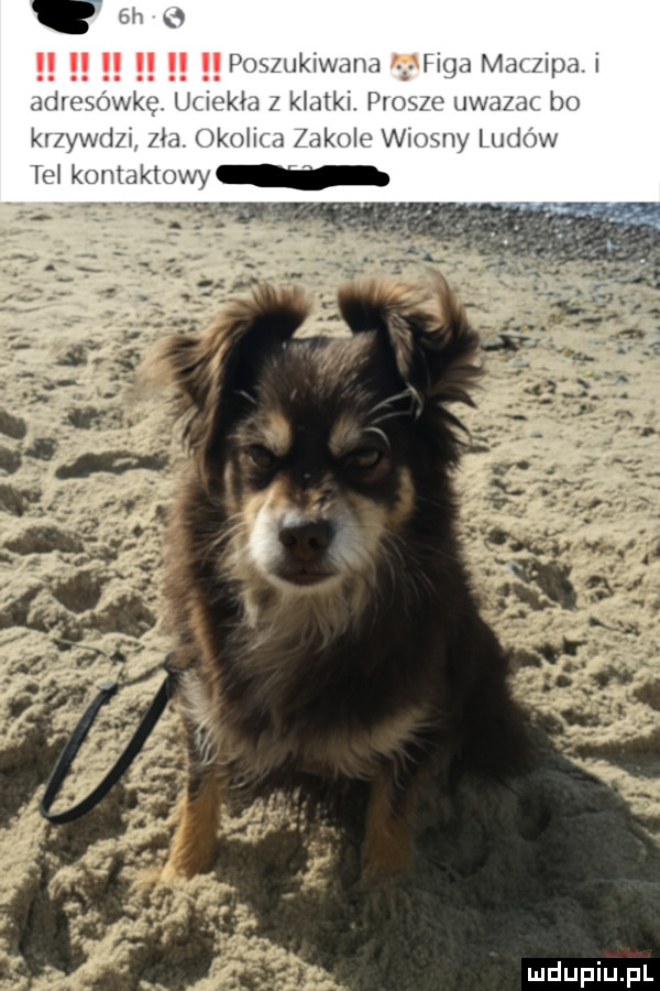 pum inf mamr  m   r   uhvwwk h mh m pym w uda m km kw     kuhr   hd ulv www nw lu im m mm