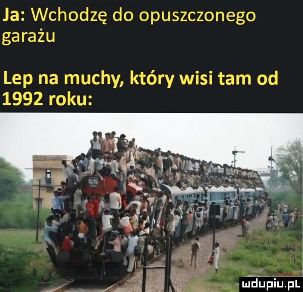 ja wchodzę do opuszczonego garażu lep na muchy który wisi tam od      roku