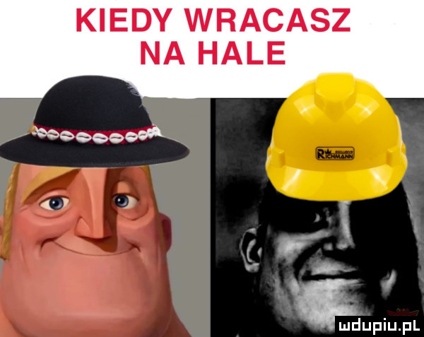 kiedy wracasz na hale        k j j  .   b