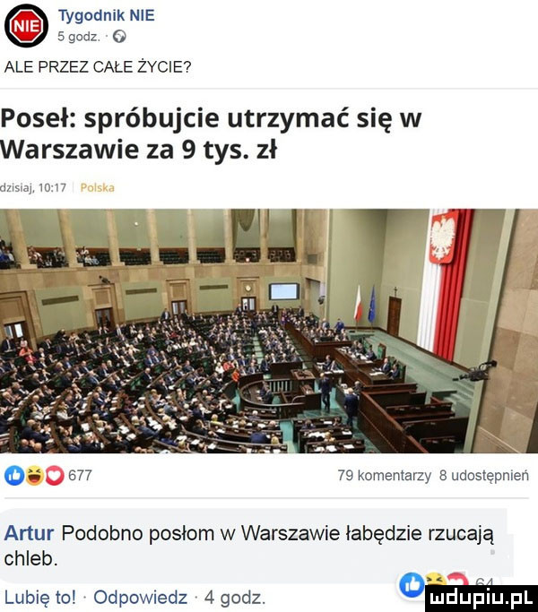 tygodnik nie   godz   ale przez całe życie poseł spróbujcie utrzymać się w warszawie za   tys. zł dziwy m         komentarzy s udostępnlen artur podobno posłom w warszawie łabędzie rzucają chleb. lubięio odpowiedz  godz. abakankami ludupl l