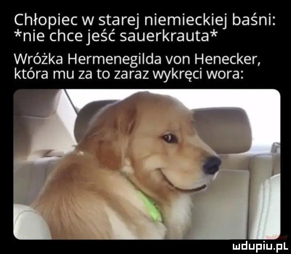 chłopiec w starej niemieckiej baśni nie chcejeść sauerkrauta wróżka hermenegilda van honecker ktora mu za to zaraz wykręcn wora
