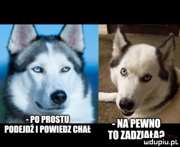 ma mmama ludupiu. pl i llllellli i piiwieiii giiai