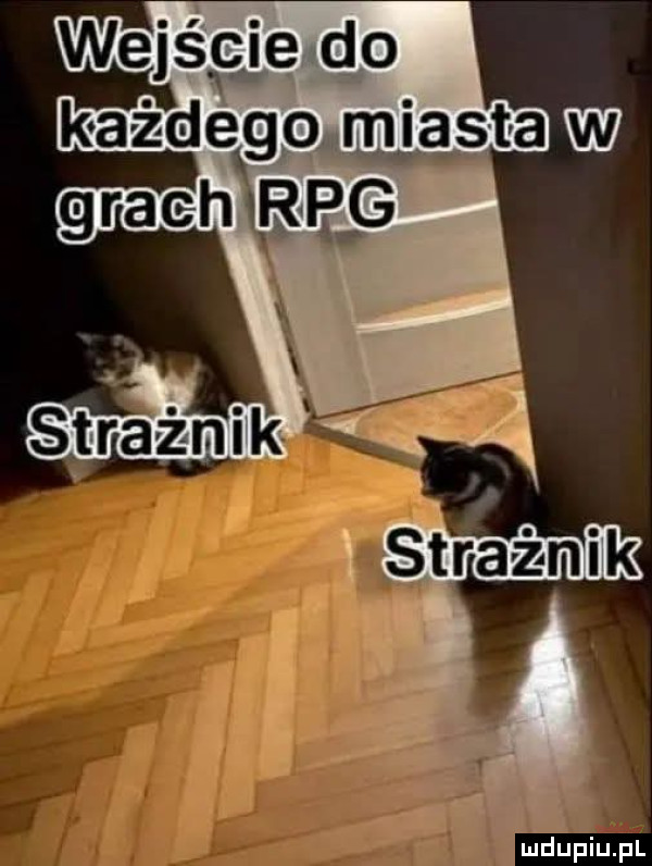 wejśgje do kazdeglowmla sara