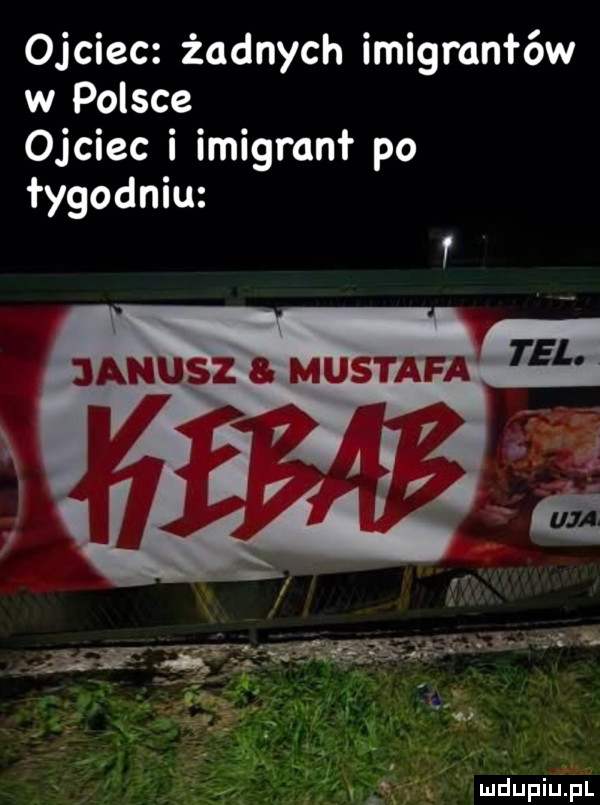 ojciec żadnych imigmnłów w polsce ojciec i imigranł po łygodniu