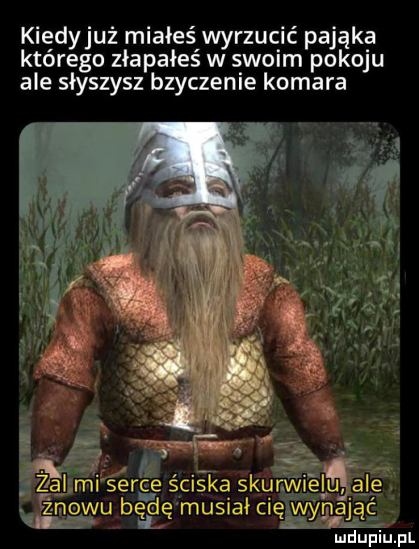 kiędyjuż miałeś wyrzucić pająka którego złapałeś w swoim pokoju ale słyszysz bzyczenie komara