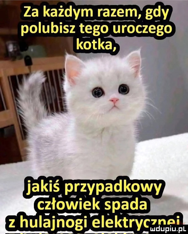 za każdym razem gay polubisz tego uroczego jakiś p rzypadkowy c łc v v idk s p ada hlajﬂggi éthrye  n i mduplu pl