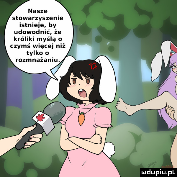 nasze stowarzyszenie istnieje by udowod ć że króliki myślą u czymś więcej niż tylko o rozmnażaniu