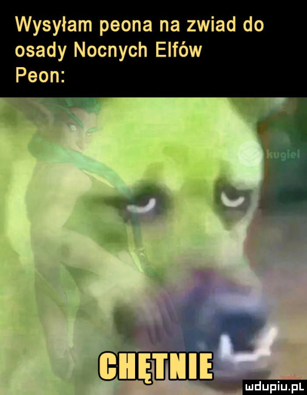 wysyłam peona na zwiad do osady nocnych elfów peon