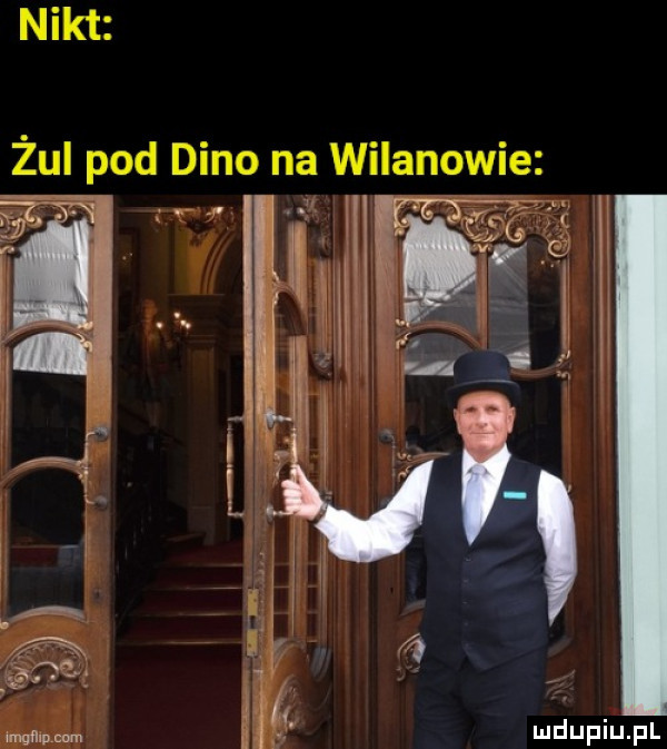 nikt żui pod dino na wilanowie