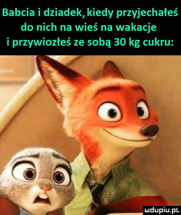 babcia i dziadek kiedy przyjechałeś do nich na wieś na wakacje i przywiozłeś ze sobą    kg cukru