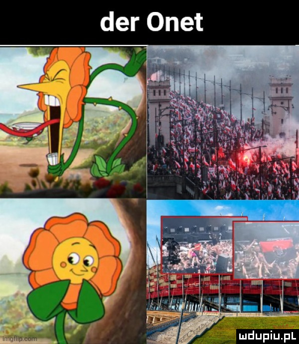 der onet