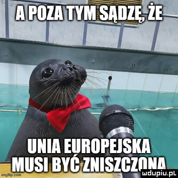 iiiiia eiibopeiska mmiisiibygzziiiszgęiiiiapl