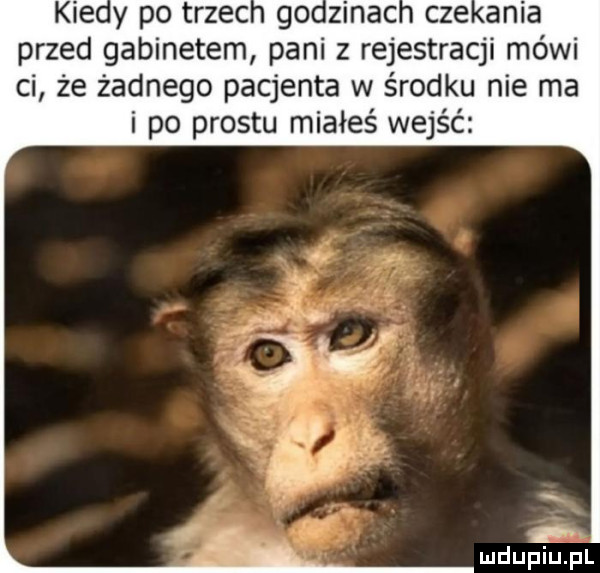 kie y po trzec gozinac cze ania przed gabinetem pani z rejestracji mówi ci że żadnego pacjenta w środku nie ma i po prestu miałeś wejść f. mdupiu p