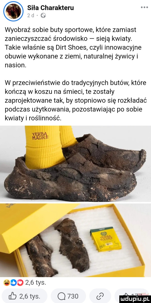 sila charakteru  d wyobraź sobie buty sportowe które zamiast zanieczyszczac środowisko sieją kwiaty. takie właśnie są dirt shoes czyli innowacyjne obuwie wykonane z ziemi naturalnej żywicy i nasion. w przeciwieństwie do tradycyjnych butów które kończą w koszu na śmieci te zostały zaprojektowane tak by stopniowo się rozkładać podczas uzytkowania pozostawiając po sobie kwiaty i roślinność. o     tys. db     tys. q     w