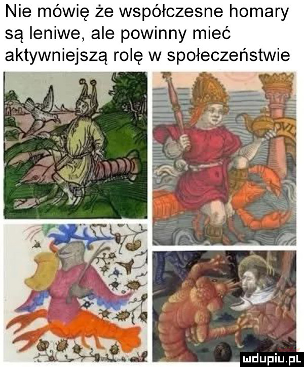 nie mówię że współczesne homary są leniwe ale powinny mieć aktywniejszą rolę w społeczeństwie
