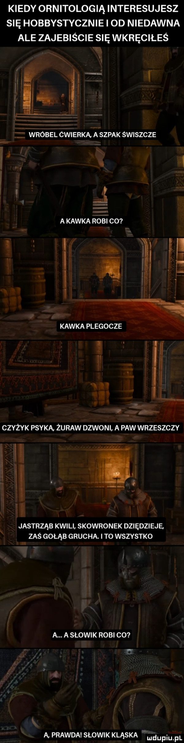 kiedy ornitologią interesujesz się hobbystycznie l od niedawna ale zajebiście się wkręciłeś i   ż wróbel cwierka. a szpak świszcze a kawka rob l cc kawka plegocze czyżyk psyka żuraw dzwoni a paw wrzeszczy i x i jastrząb kwili skowronek dziadzieje. zaś gołąb grucha. i to wszystko a. a słowik robi co a. prawda słowik kląska mmpm pl
